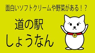 【道の駅しょうなん】千葉県柏市の道の駅しょうなんに売っているお土産や野菜、レストランで食べれるメニューを紹介。