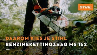 Stihl MS 162 PMM3 gasoline chainsaw | Image 4 - Agroline