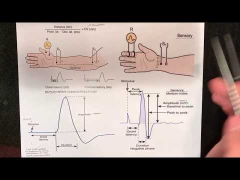 Nerve Conduction Studies (NCV) Fundamentals