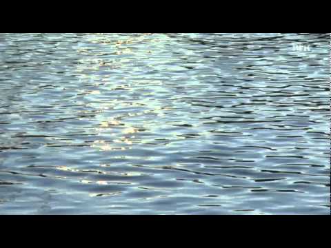 Ole Paus - Mitt lille land