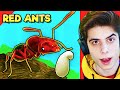 I made an Red Ant Colony in Ant Life V2 [beta testing]