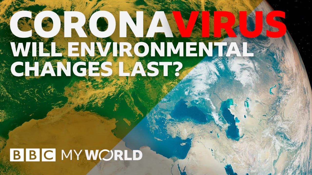 Will the environment benefit from Coronavirus? - BBC My World