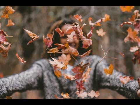 The Last Stream Before Thanksgiving Break!