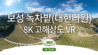 [Video VR 8K] Campo di Tè Verde Daehan Dawon Boseong
