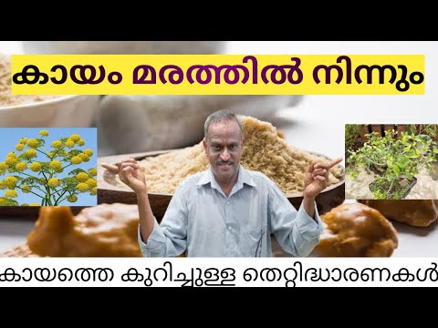 KAYAM |കായം|Asafoetida |കായം നിർമ്മിക്കുന്നത് എങ്ങനെ?