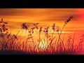 Jazz Hop Type Beat X Chill Hop Type Beat X Jazz Type Beat X Lofi Type Beat