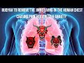 Ultimate Ruqyah To Destroy The Devil Jinns Living In The Human Chest Causing Pain Heaviness Anxiety