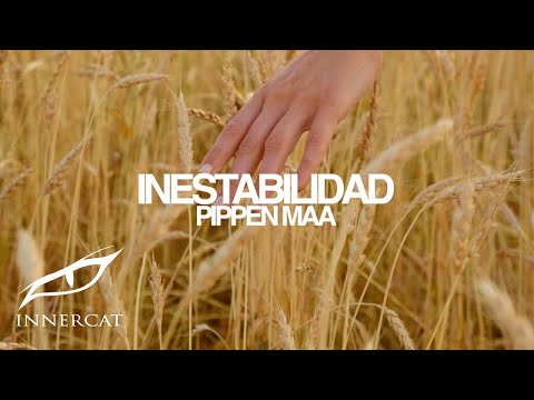 Pippen Maa - Inestabilidad (Official Music Video)