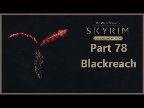TES V: Skyrim Anniversary Edition - Part 78 - Blackreach
