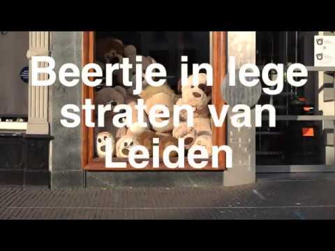 Beertje in leeg Leiden 3
