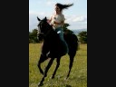 Video thumbnail for Rodeo Road