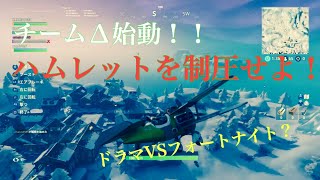 メンバー全員でハムレットを空爆-FORTNITE-