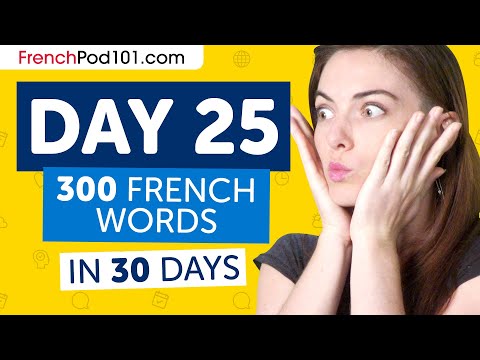 Day 25: 250/300 | Learn 300 French Words in 30 Days Challenge