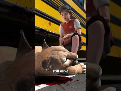 A Mountain Lion Attacked A School Bus 😨