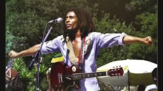 &quot;Easy Skanking&quot; (Borka B Dub Remix) - Bob Marley &amp; The Wailers