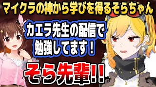 カエラ先生の配信を見てマイクラのお勉強をするそらちゃん【ホロライブID切り抜き/カエラ・コヴァルスキア/ときのそら/風真いろは/日本語翻訳】