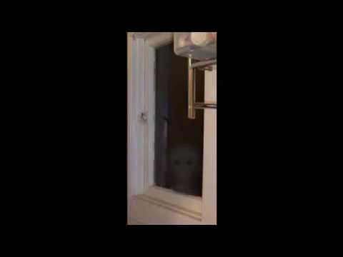 SCP-965 "The Face in the Window"