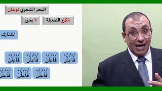 4 ¶ تكوينات البحور image