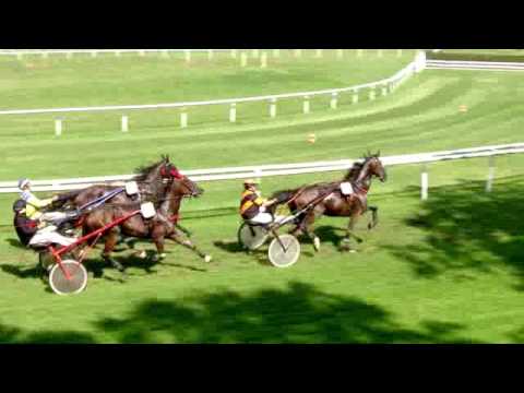 Aarau/11.09.2016/Preis Turf Club Aarau