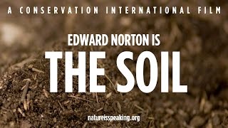 Edward Norton is the SOIL