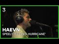 HAEVN speelt 'Kite in a Hurricane' | 3FM Live Box | NPO 3FM