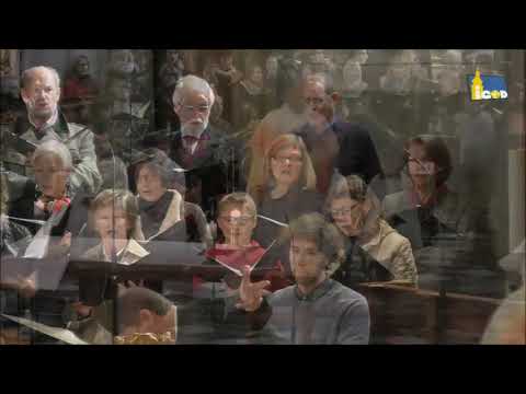 KMV Hartberg - Martinisonntag 11.11.2018