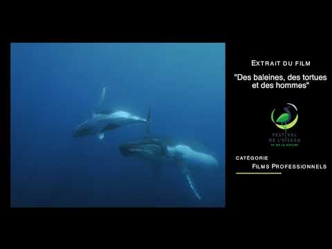 Voir la vidéo Soirée d'inauguration