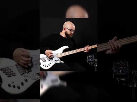 DINGWALL NG-2 4 and 6 Strings Basses. Dark glass Alpha-Omega by Adam Nolly Getgood (Part 1) #SHORTS