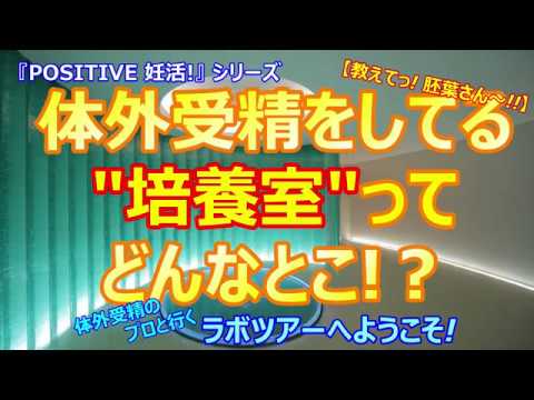 園芸 体外培養技術