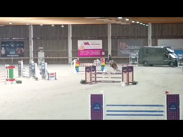 Jument 12 ans, gagante 110cm, pr&ecirc;te pour les 120 cm