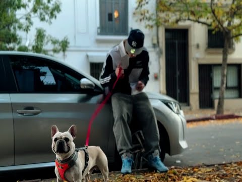 Chayn - Diligencias (Video Oficial)