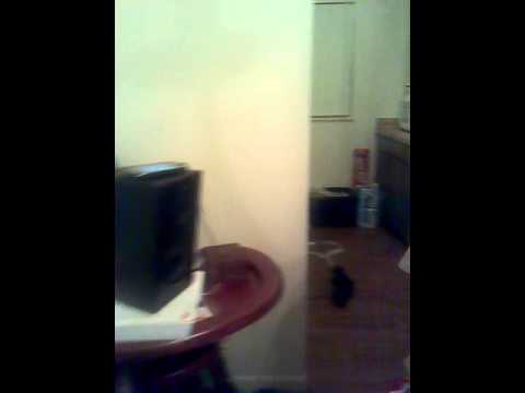 Wetter remix #Hurricane remix