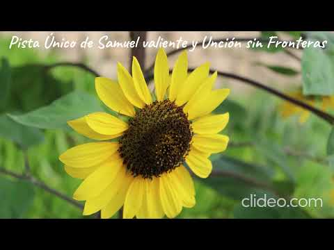 Único de Samuel Valiente y Unción sin Fronteras Pista