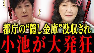 【片山さつき】※小池百合子の無駄遣いがとうとうバレ…【佐藤沙織里 消費税 東京都議会本会議】