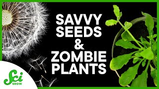 Seed-Inspired Microdevices and Zombie Plants
