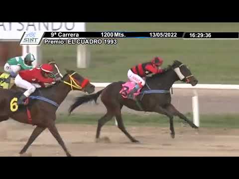 SINT PAYSANDU - 220513 c09  - 1° VAMOS AL CASORIO