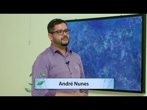 Palestra na Fraternidade 317 - Bem aventurados os mansos e pacíficos - André Nunes