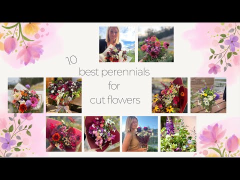10 Best Perennials for Cut Flowers || with photos!