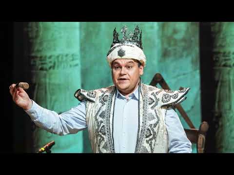 Tamino: Dies Bildnis ist bezaubernd schön (Hungarian version)