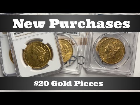 New Purchases - Earlier Types of $20 Gold Pieces