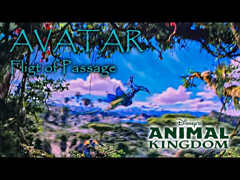 Avatar Flight of Passage On Ride 4K POV with Queue Disney's Animal Kingdom  2025 02 26