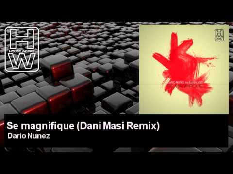 Dario Nunez - Se magnifique - Dani Masi Remix - feat. Lunalyss - HouseWorks