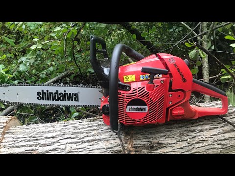 Reviewing a Shindaiwa 591/Echo CS590 and cutting some firewood
