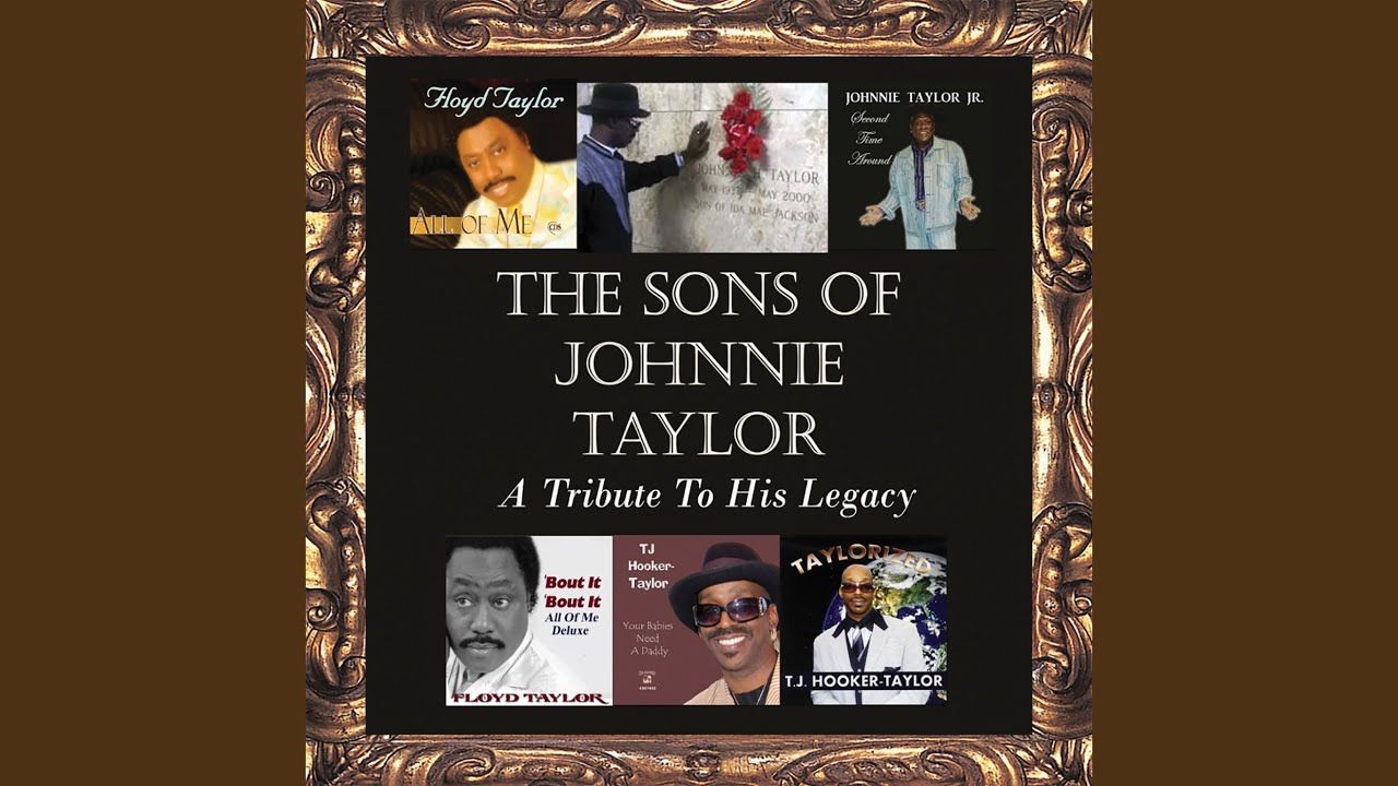 I Like the Way (Remix)