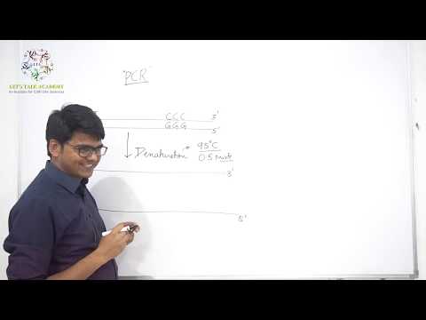 Let's Talk Academy Video 1