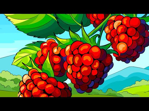 Color Vibe - Paint by Number video thumbnail