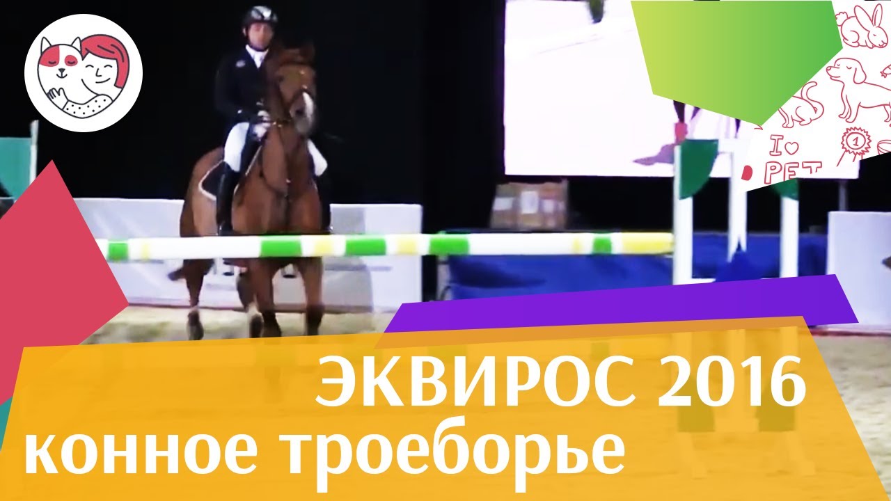 Конное троеборье ЭКВИРОС 2016 на ilikepet