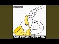 Zaycev Boy (Radio Edit) 