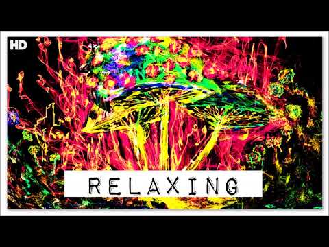 download lagu mp3 mp4 Magic Mushroom Music, download lagu Magic Mushroom Music gratis, unduh video klip Magic Mushroom Music