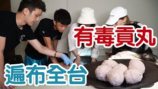 [問題] 可以內用的貢丸店